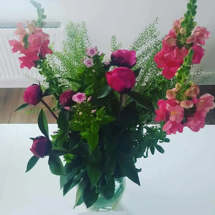 Freddies Flowers Review: The Best Flowers in a Box