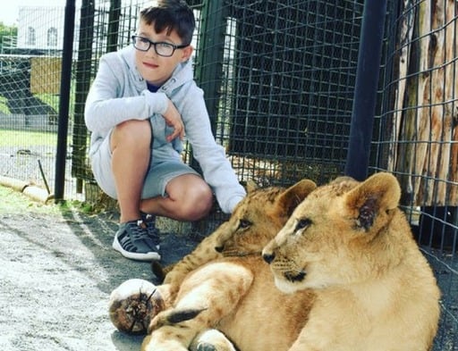 Playing with Lion Cubs at Cassela Safari Park, Mauritius
