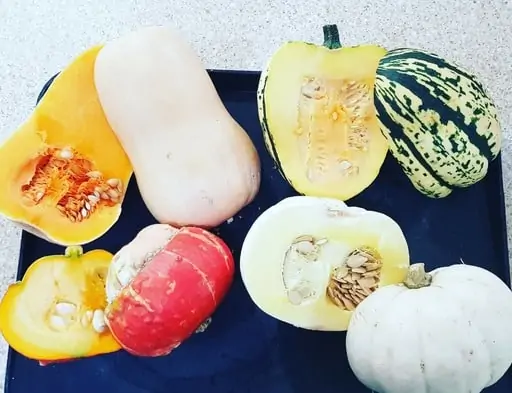 Easy Chicken and Butternut Squash Traybake the Family will LOVE