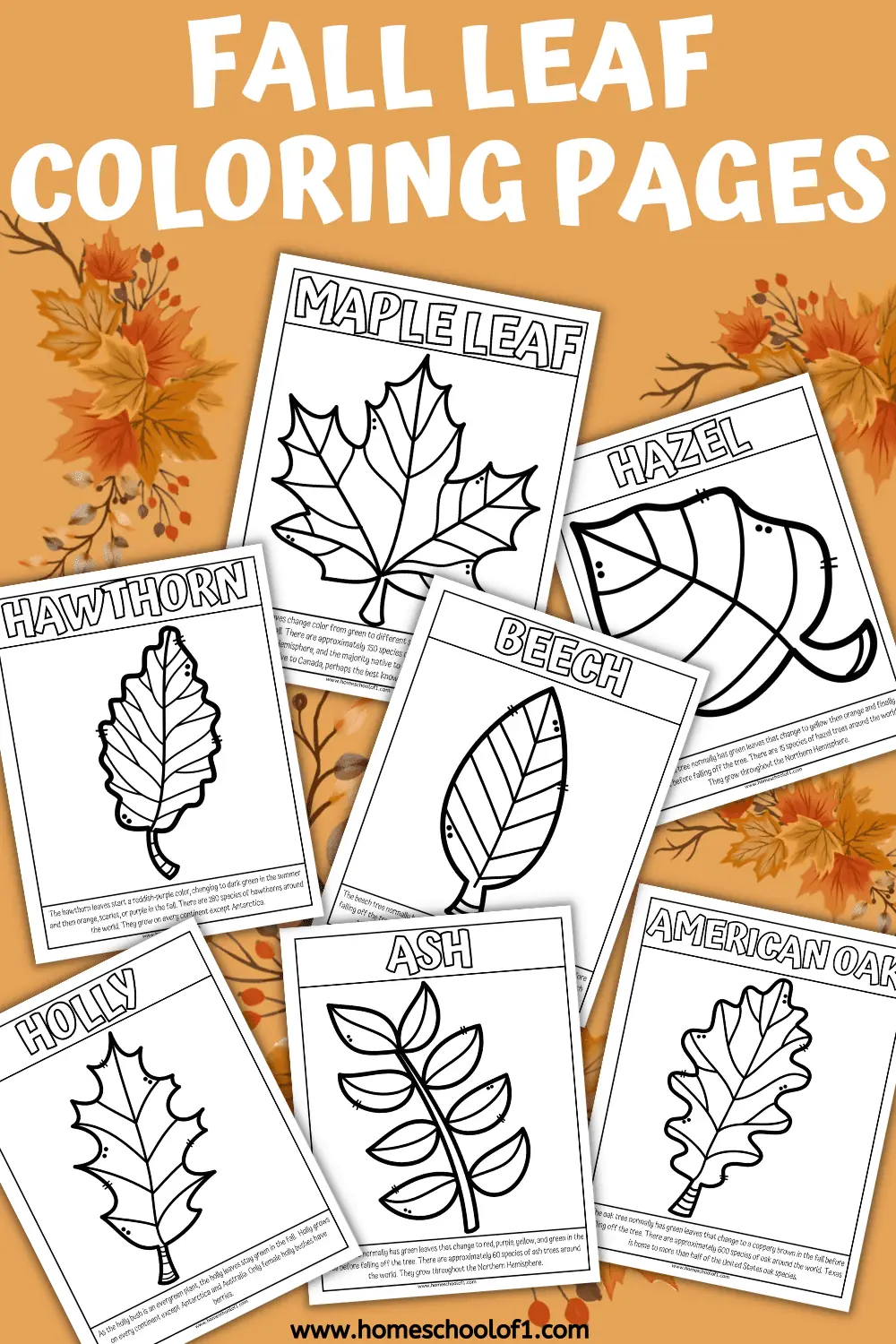 FALL LEAVES COLORING PAGES
