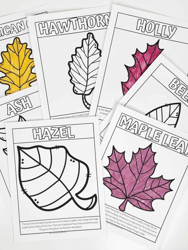 free leaf coloring pages