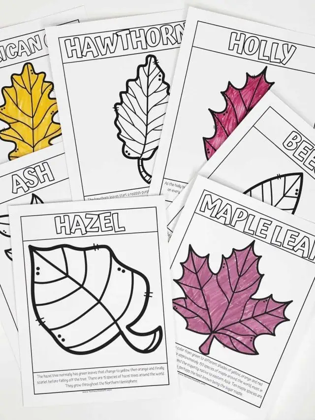 Printable Fall Leaf Coloring Pages