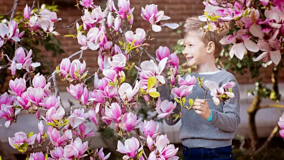 Best Creative Activities for Spring