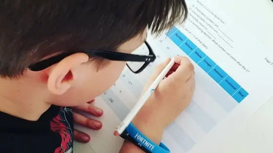 Mr D Math Review: Best Self-Paced & Live Math Curriculum