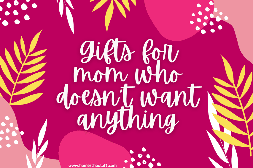 27 Best Gifts for Mom Who Doesn't Want Anything!
