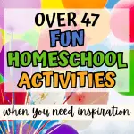 fun homeschool activities