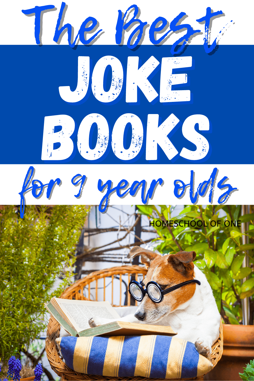 The best joke books for 9 year old boys