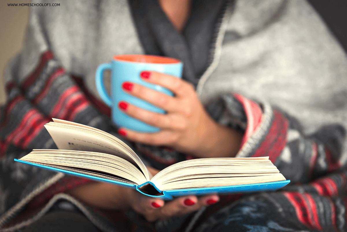 17 Best Books About Homeschooling for Parents to Read Now