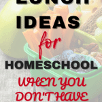 lunch ideas for homeschool when you don't have time