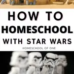 How you can homeschool the entire curriculum with Star Wars! #starwars