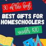Over 30 of the best gifts for homeschoolers that are under $20