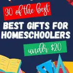 Over 30 of the best gifts for homeschoolers that are under $20