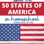 18 Fun Ways to Learn about the 50 states of America in your homeschool #america #50states #geography