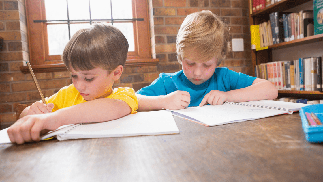 writing a book report
