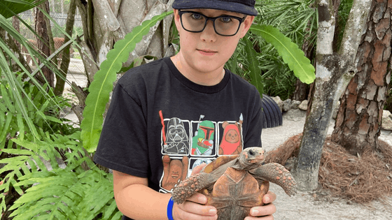 Boy holding a turtle at an animal sanctuary