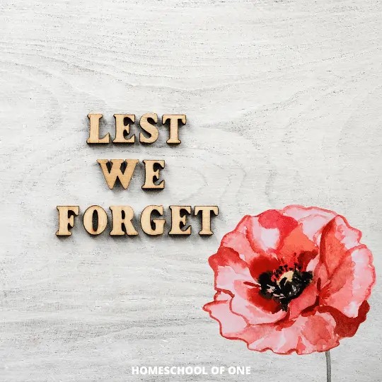 Holiday Activities - Remembrance Day