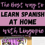 The best way to learn Spanish at home with Lingopie. Check out our detailed review of Lingopie and see how we use it in our homeschool of one. It is a great way to learn the language by listening to people actually talking. With subtitles and so much more. #spanish