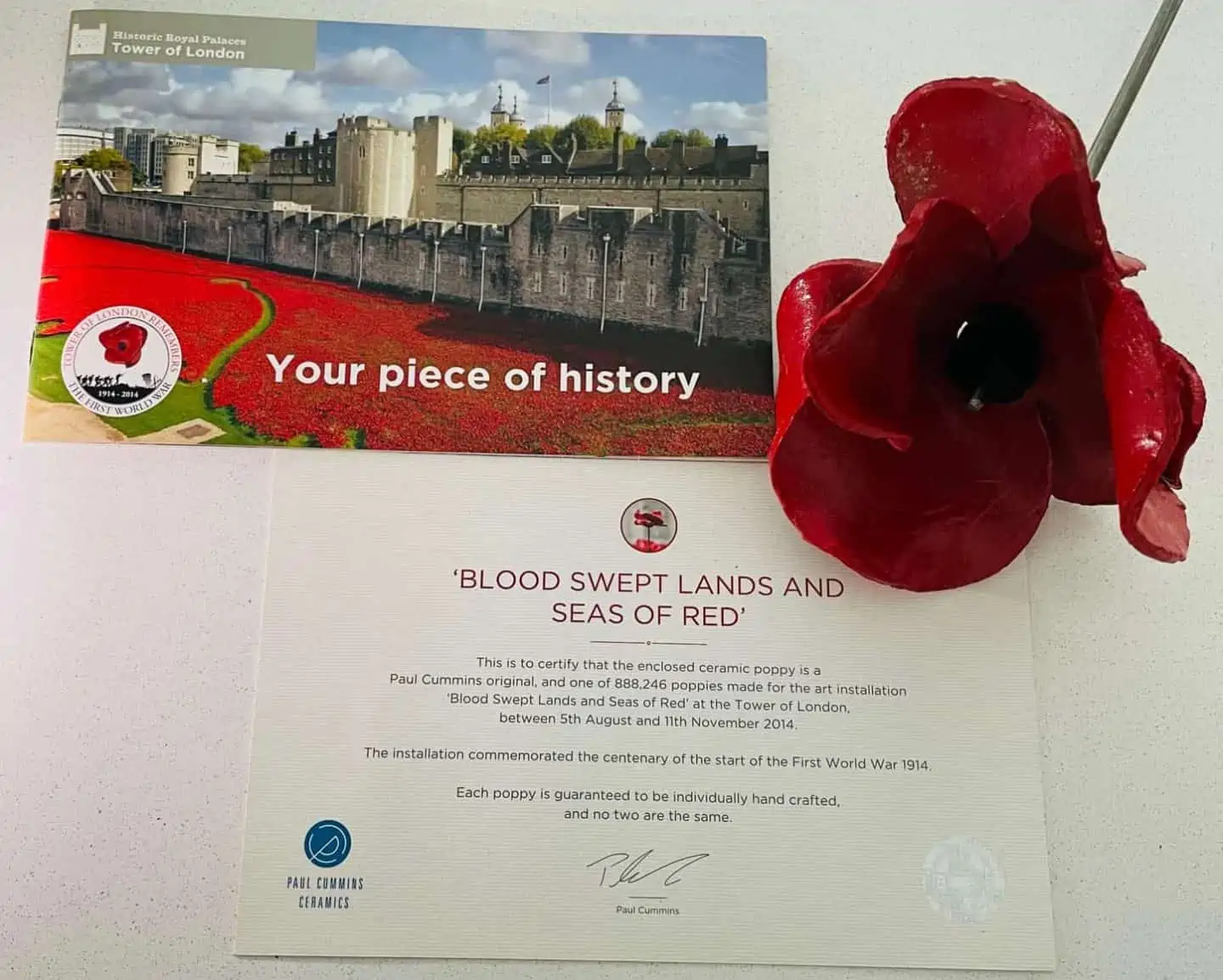 Blood swept lands and seas of red with original poppy