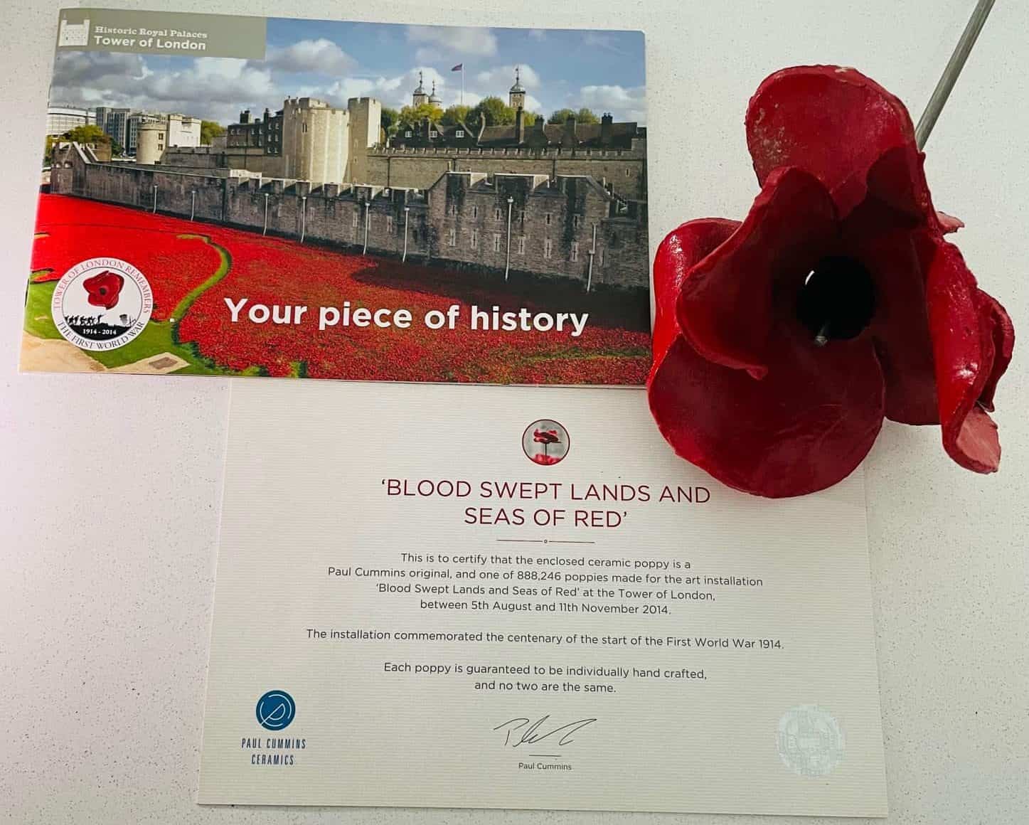 Remembrance Day Activities for Homeschool