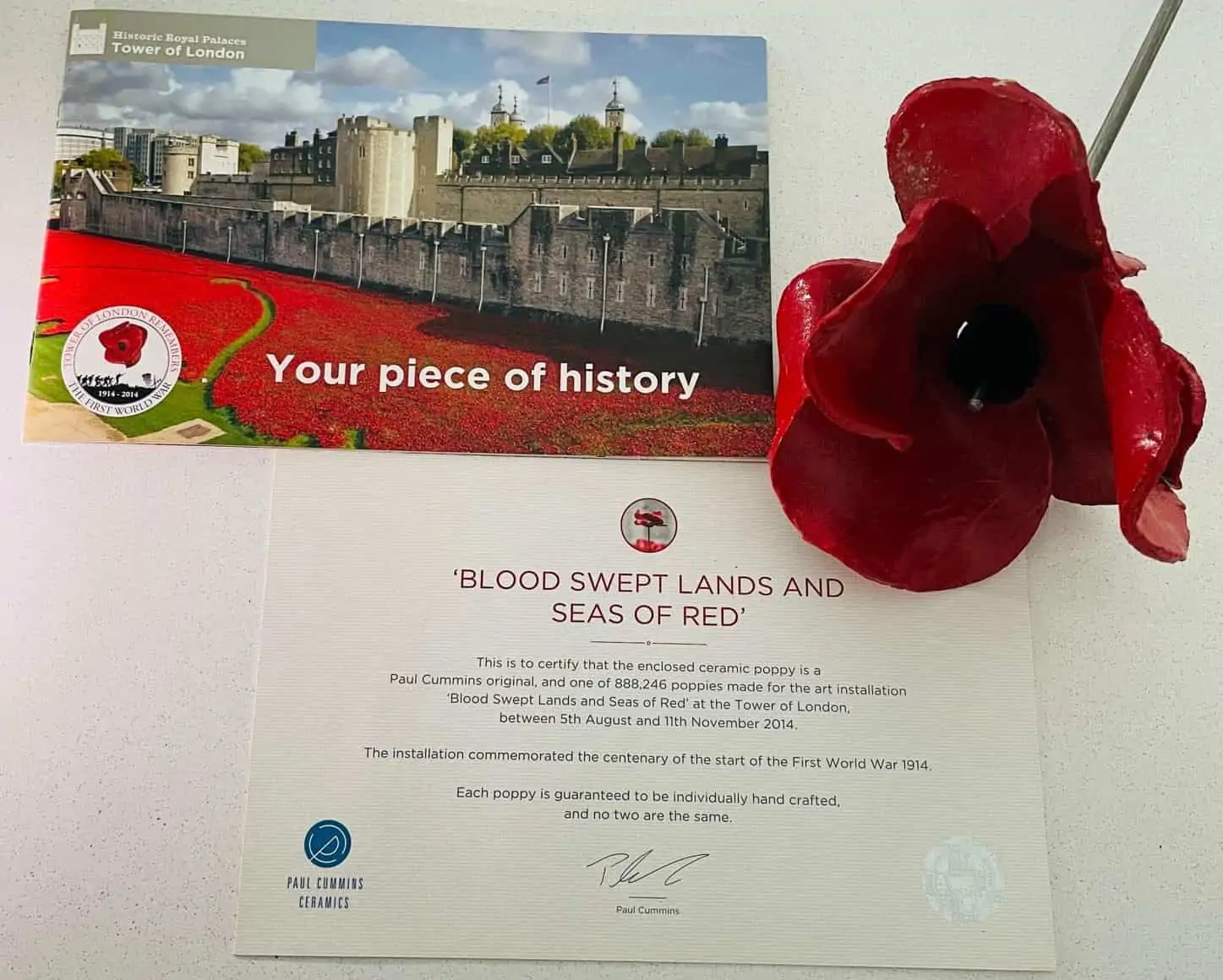 FREE Remembrance Day Activities For Kids of All Ages