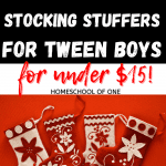 The best stocking stuffers for tween boys under $15