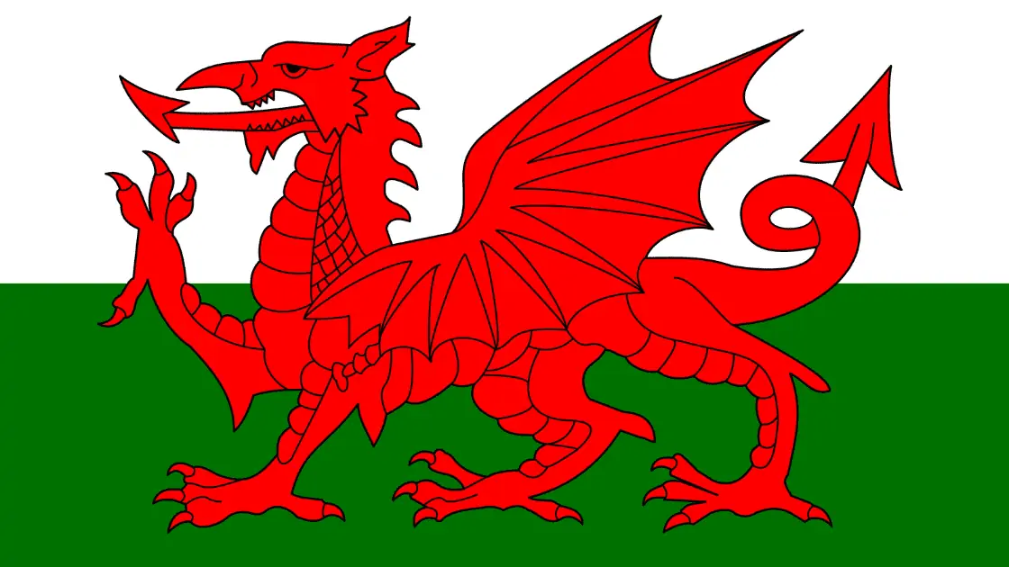 st david's day
