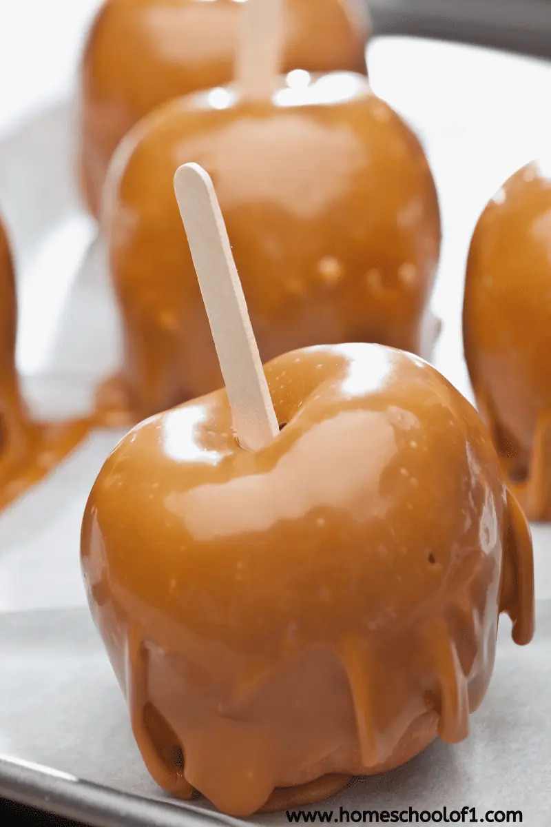 toffee apples