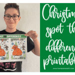 christmas spot the difference