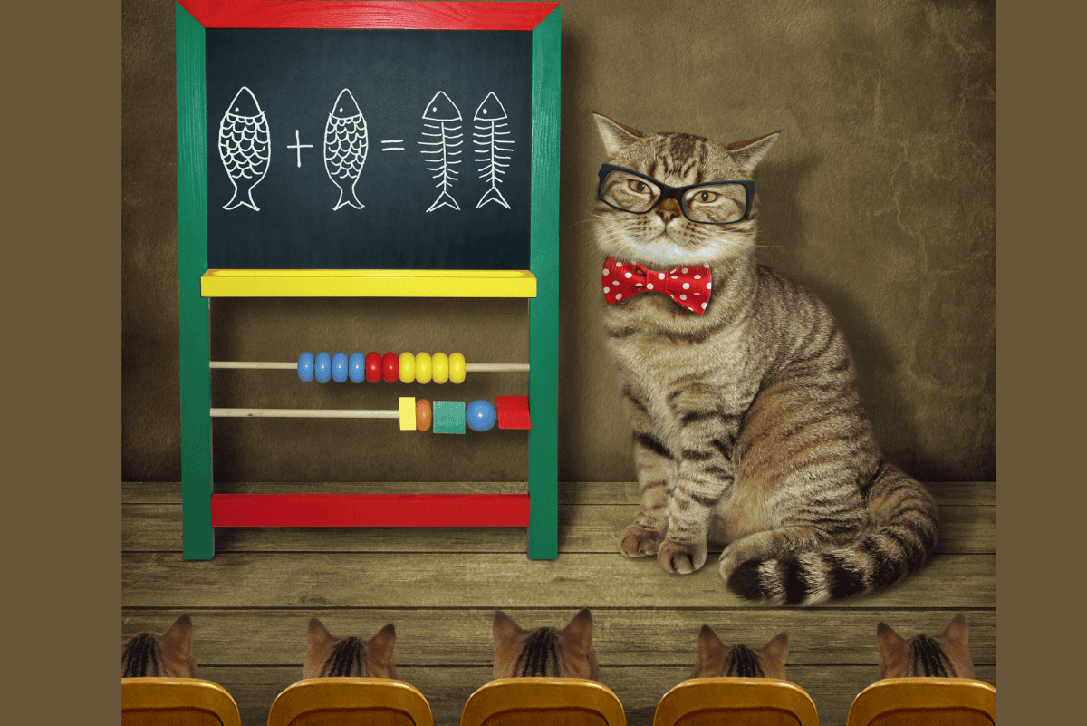 Cat wearing glasses and a bow tie sits beside a small chalkboard with simple math drawings and an abacus, facing an audience of cats in a classroom-style setting.