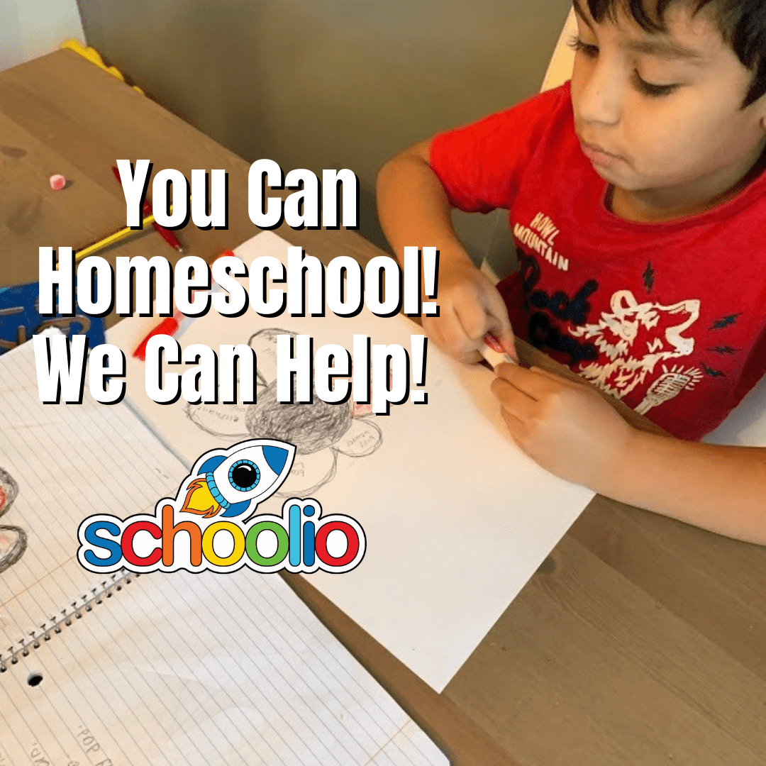 You can homeschool Schoolio can help