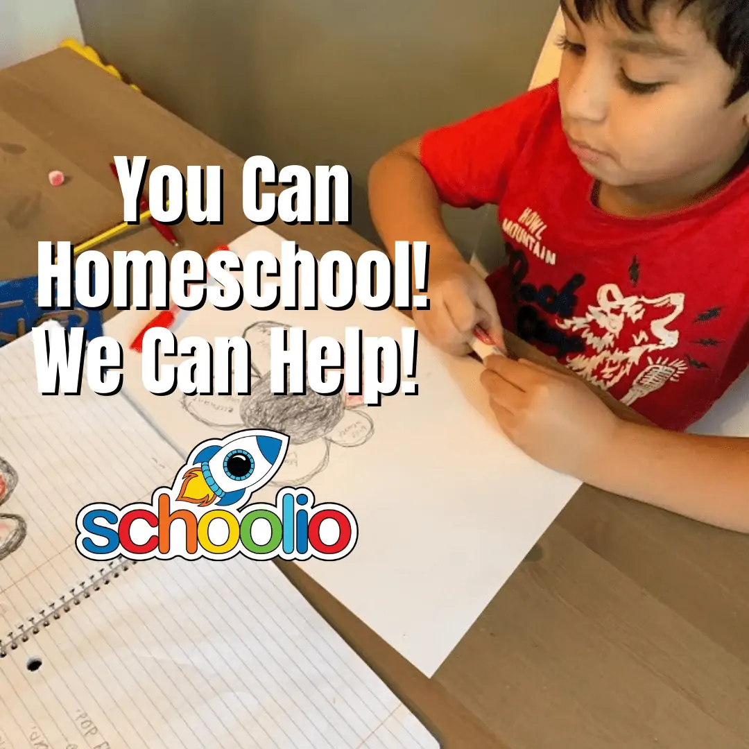 You can homeschool Schoolio can help