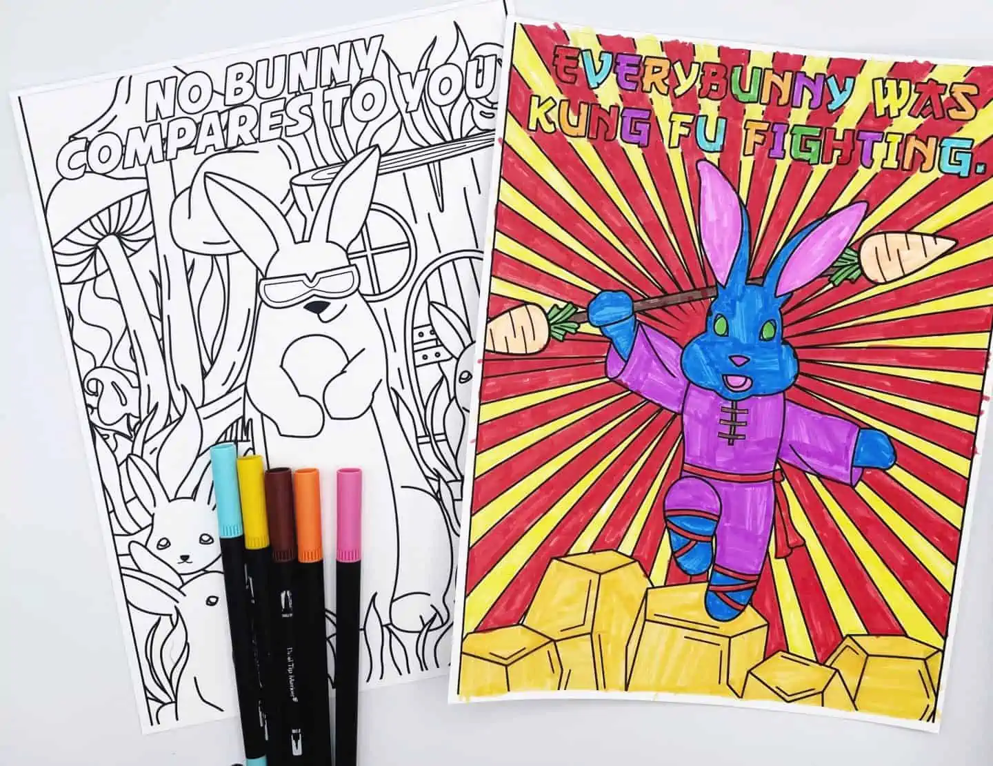 bunny coloring book