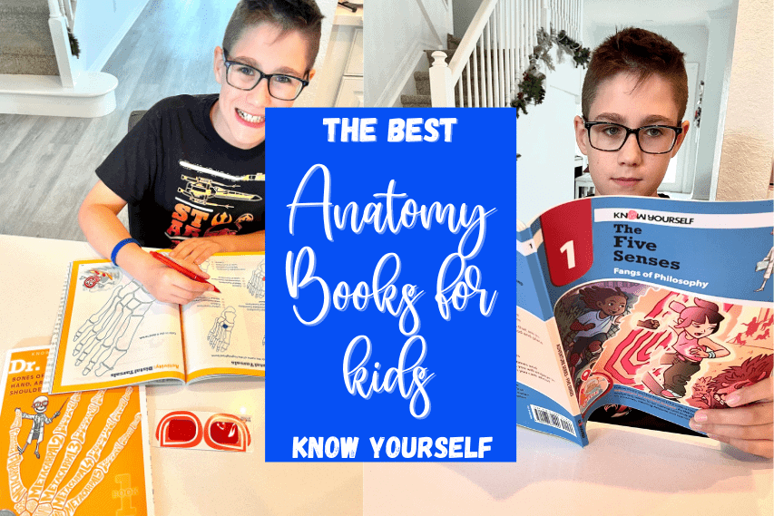 Best Anatomy Books for Kids Discover the Human Body