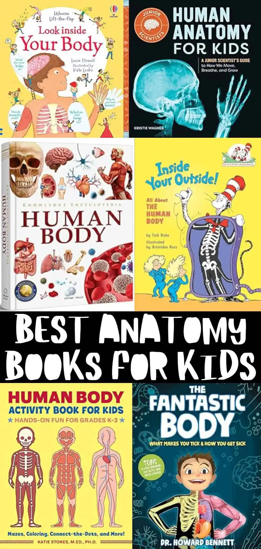 Best Anatomy Books for Kids Discover the Human Body