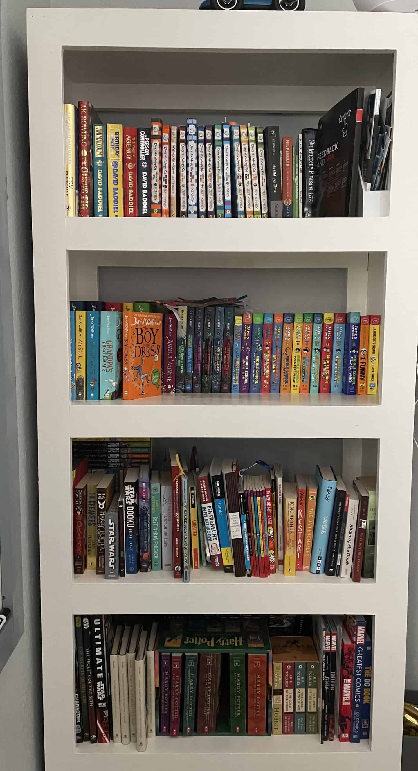 Bookshelf with books for 13 year old boys