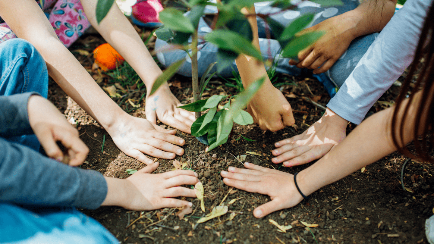 kids hands patting down a new tree they have planted