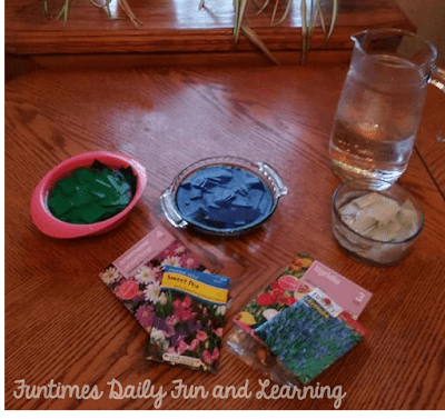 How to Make Earth Day Seed Bombs