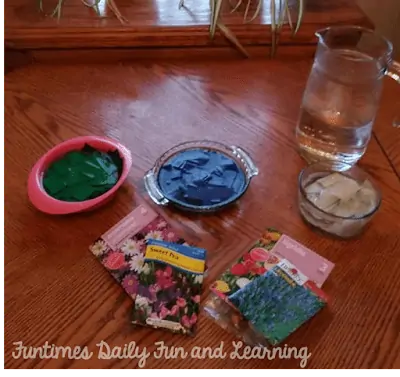 How to Make Earth Day Seed Bombs