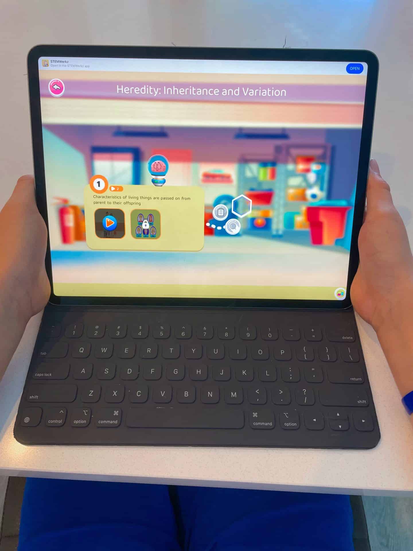 digital stem
