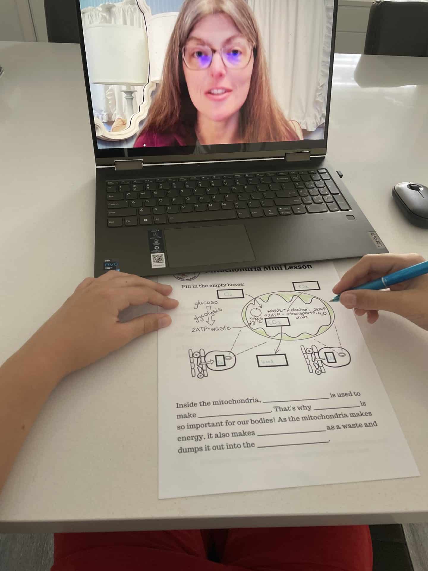 doc robins lesson online with a child filling out a worksheet