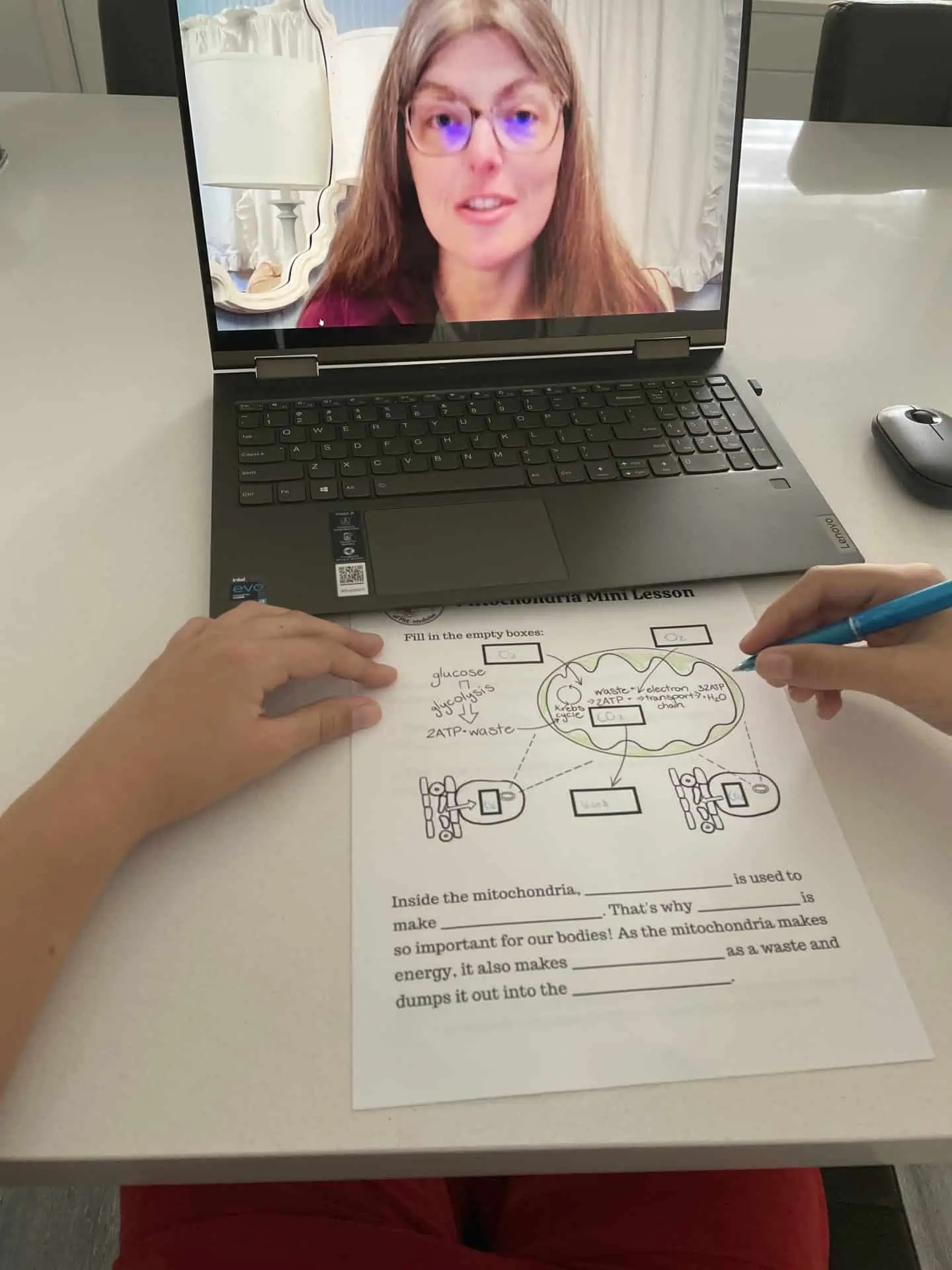 doc robins lesson online with a child filling out a worksheet