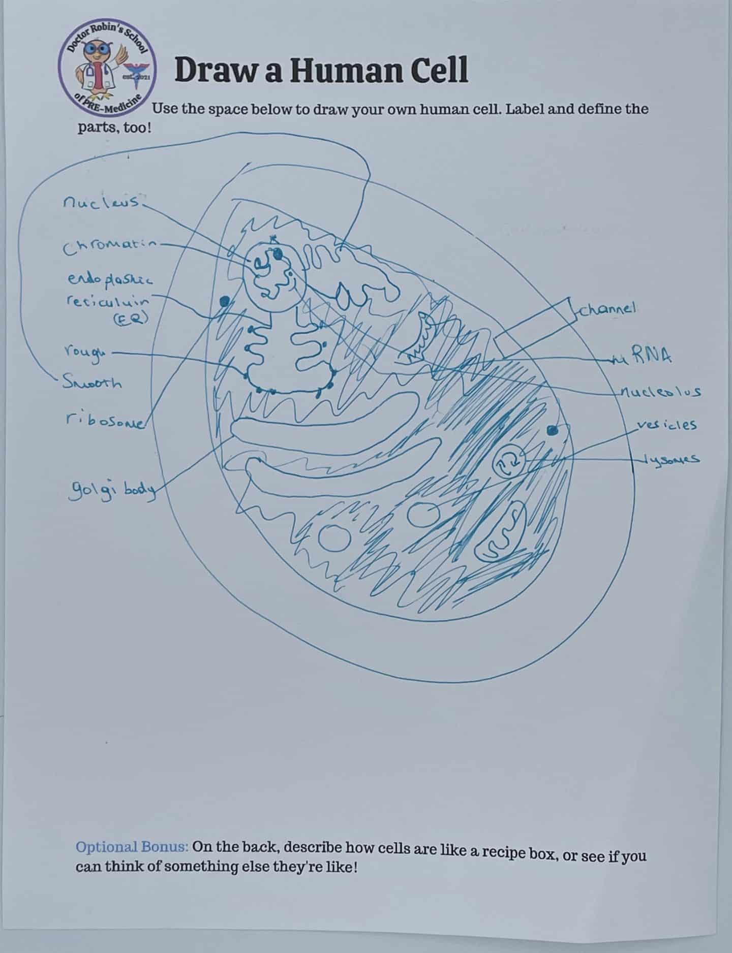 child drawing of a human cell