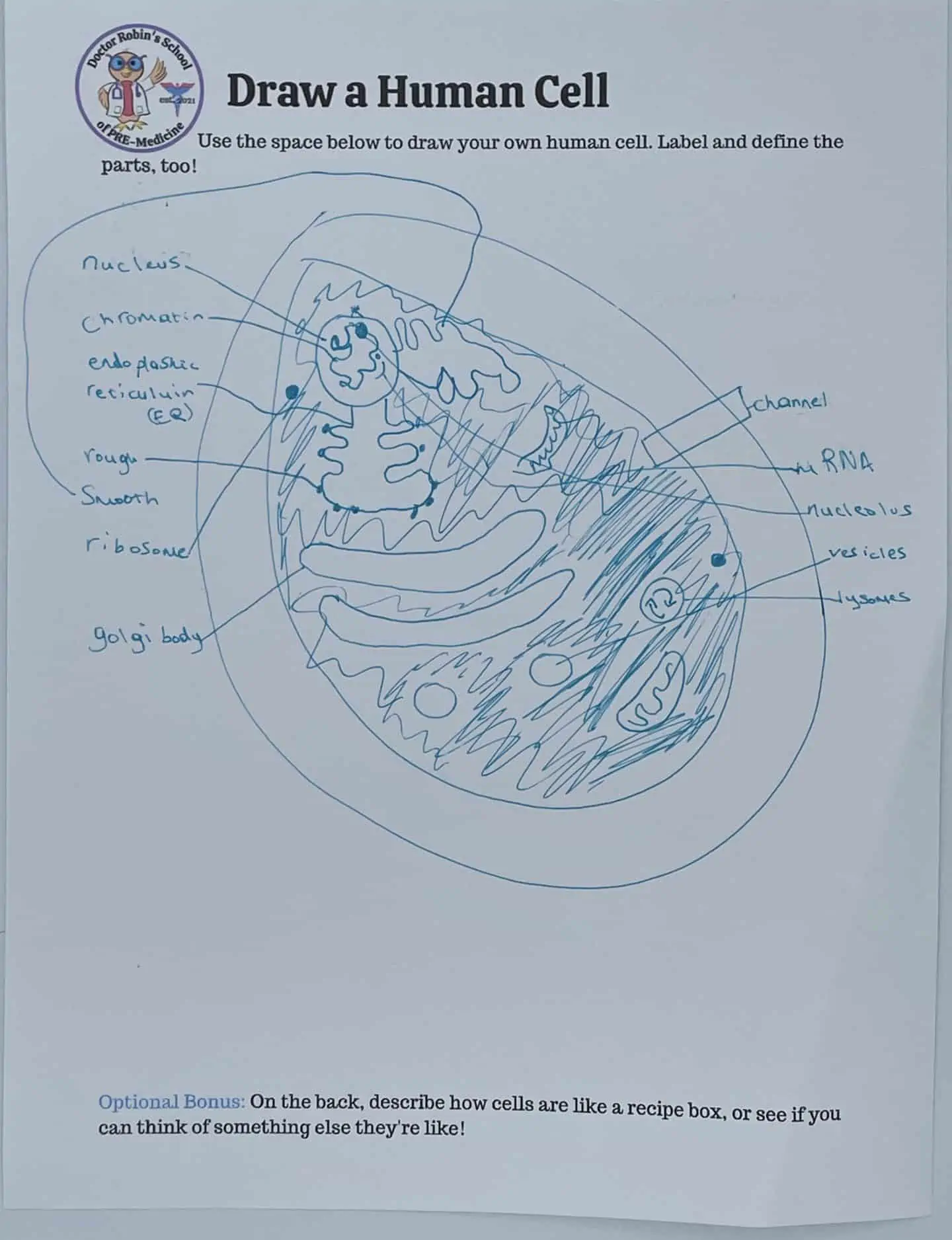 child drawing of a human cell