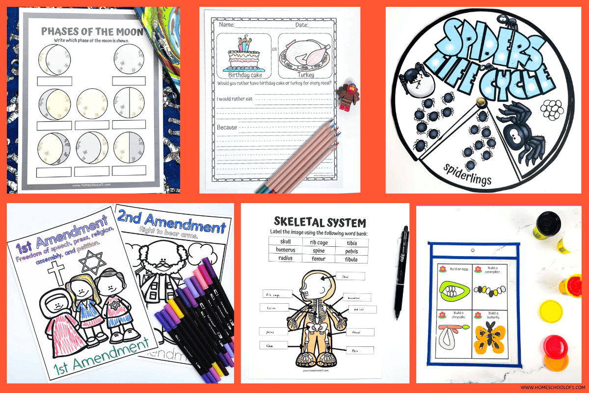 Free learning worksheets for kids covering the moon phases, human anatomy, amendments, life cycles, writing prompts, and science.