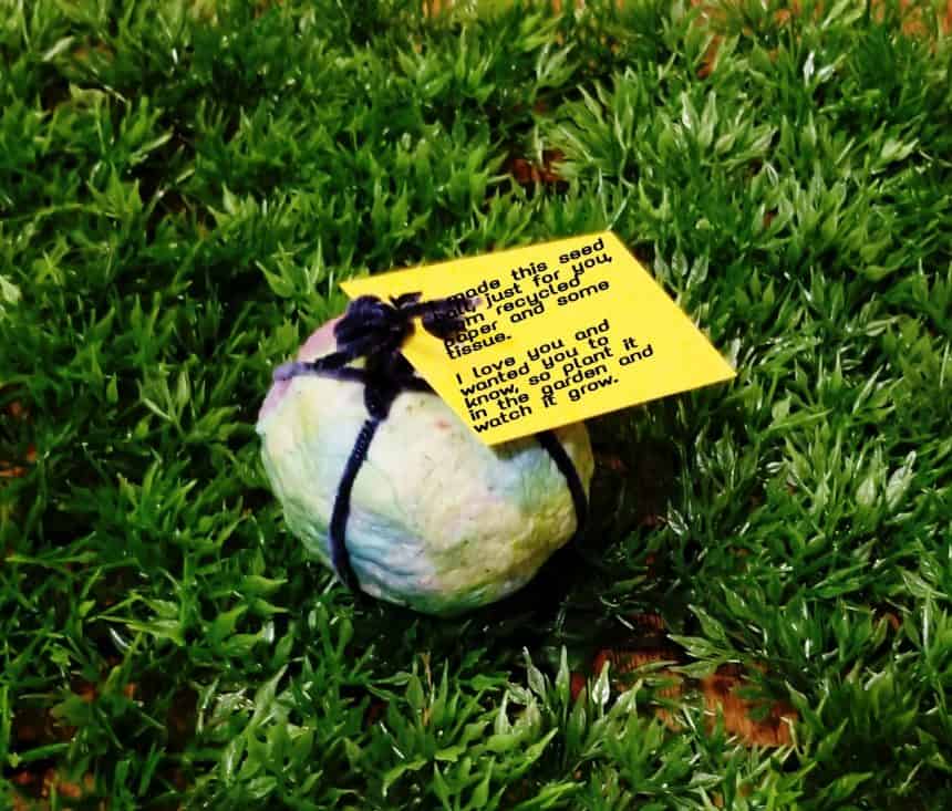 recycled seed ball