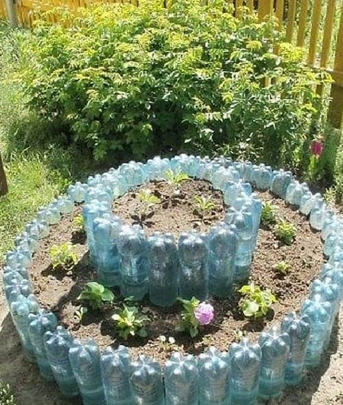 soda-bottle-garden