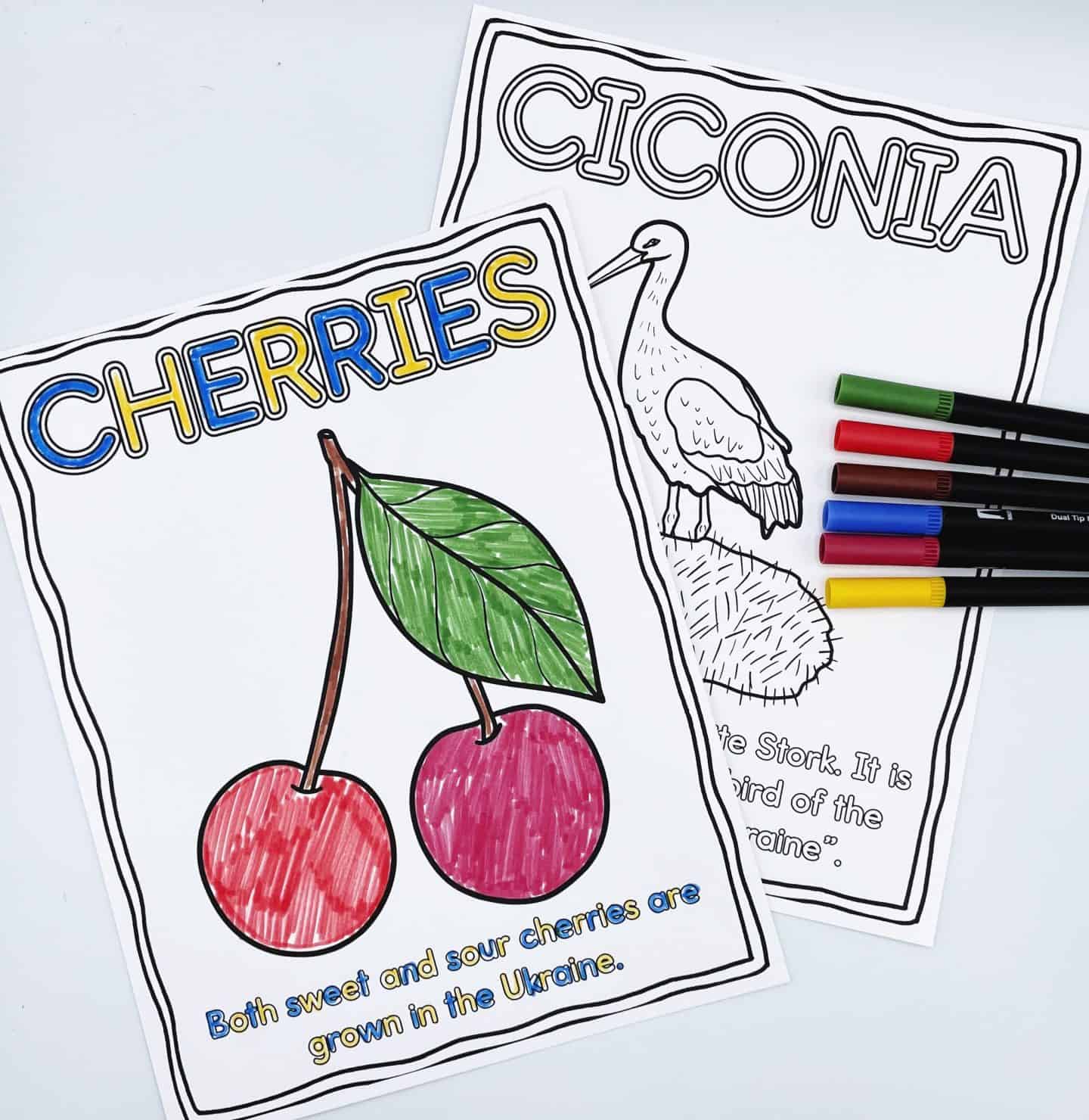 Two Ukraine-themed coloring pages. The front page features two red cherries with green leaves and the word “Cherries” colored in blue and yellow; the caption reads, “Both sweet and sour cherries are grown in the Ukraine.” Behind it is a partially colored page titled “Ciconia,” depicting a stork standing in a nest, with several markers placed to the side.