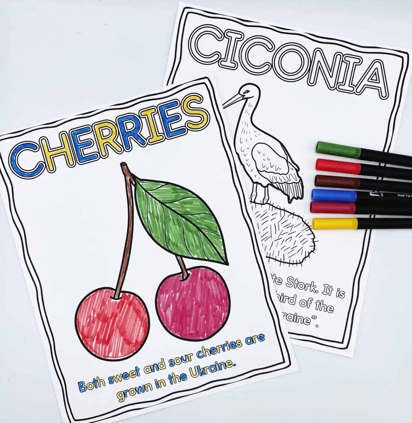 Ukraine Coloring Pages Cherries and ciconia