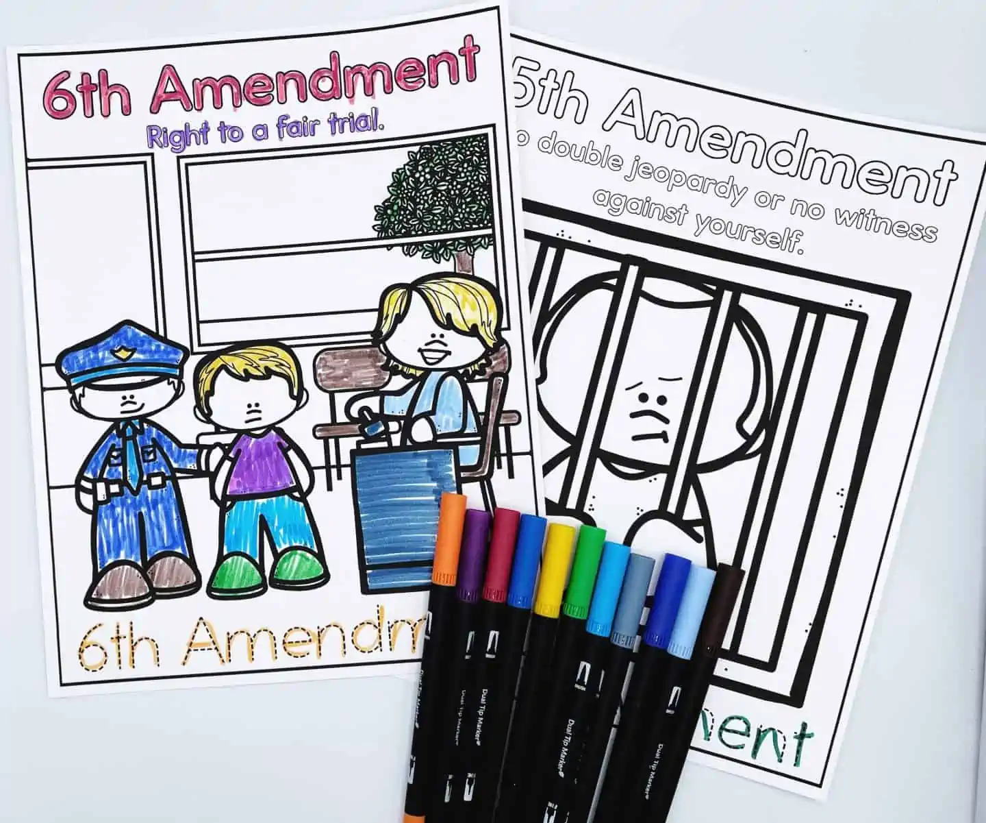 5th and 6th amendment worksheets