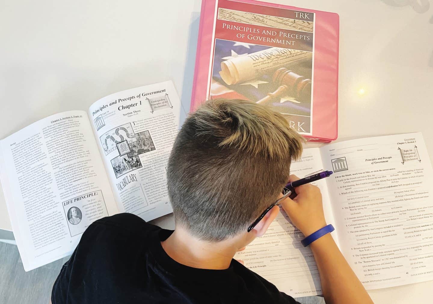 homeschool government curriculum